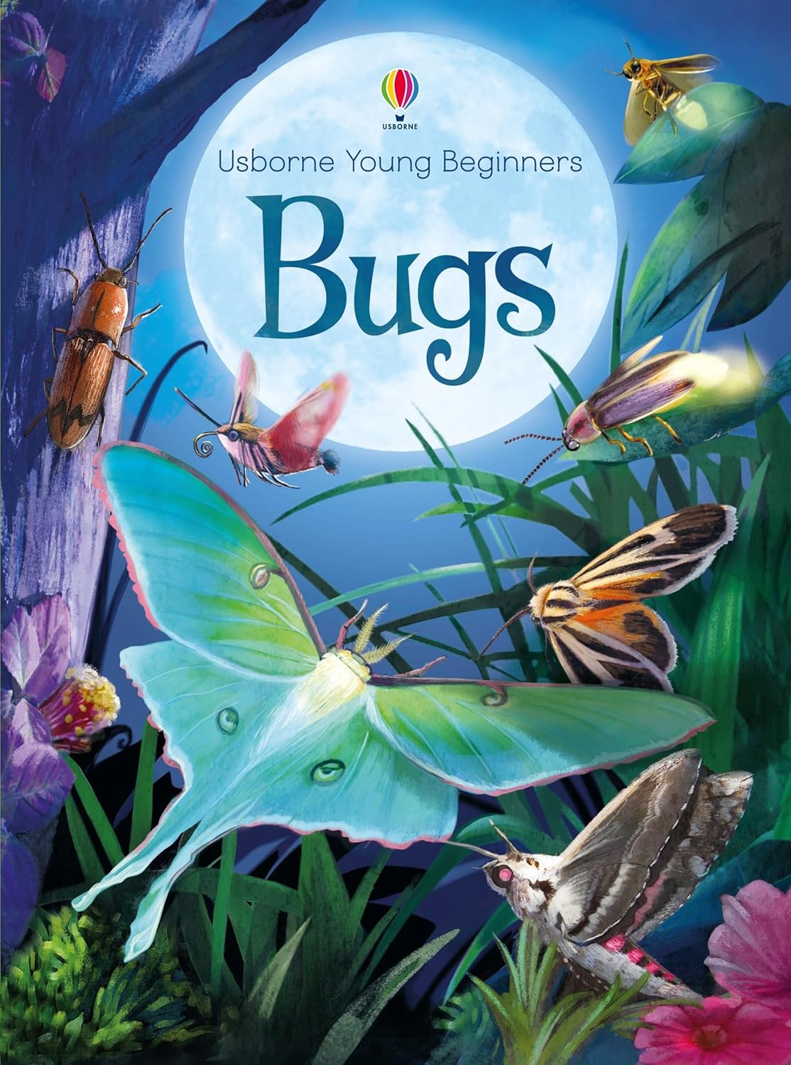 Usborne Young Beginners (HB): Bugs – Wondersaurus