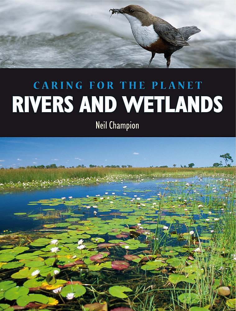 Caring For Rivers Caring for the Planet: Rivers and Wet- lands – WONDERSAURUS
