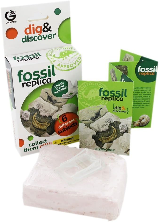 Dig Fish Dig & Discover Fossil Replica: Fish – WONDERSAURUS