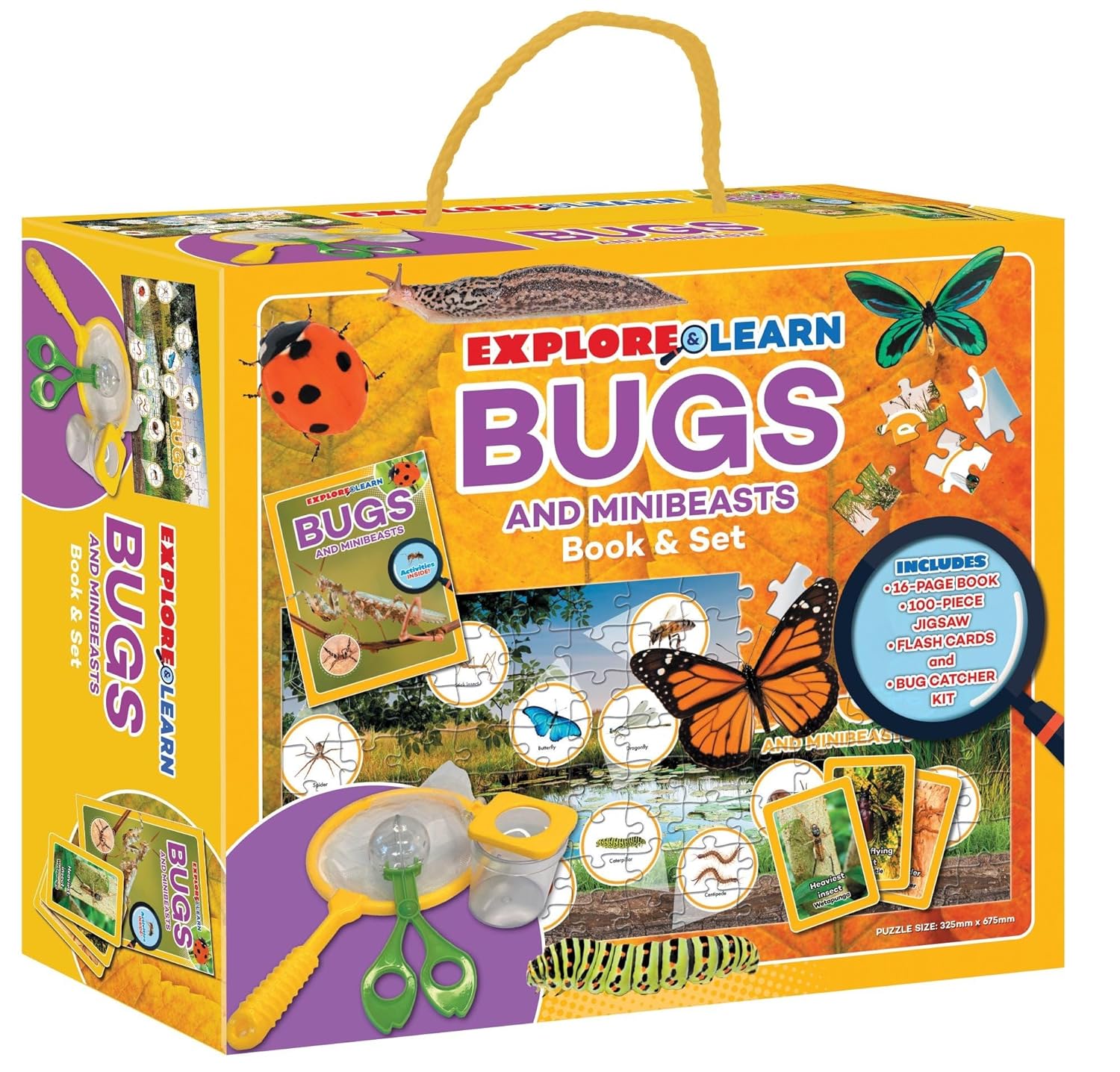 Explore & Learn Kits: Minibeasts Explorer – Wondersaurus
