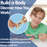 Build a Body