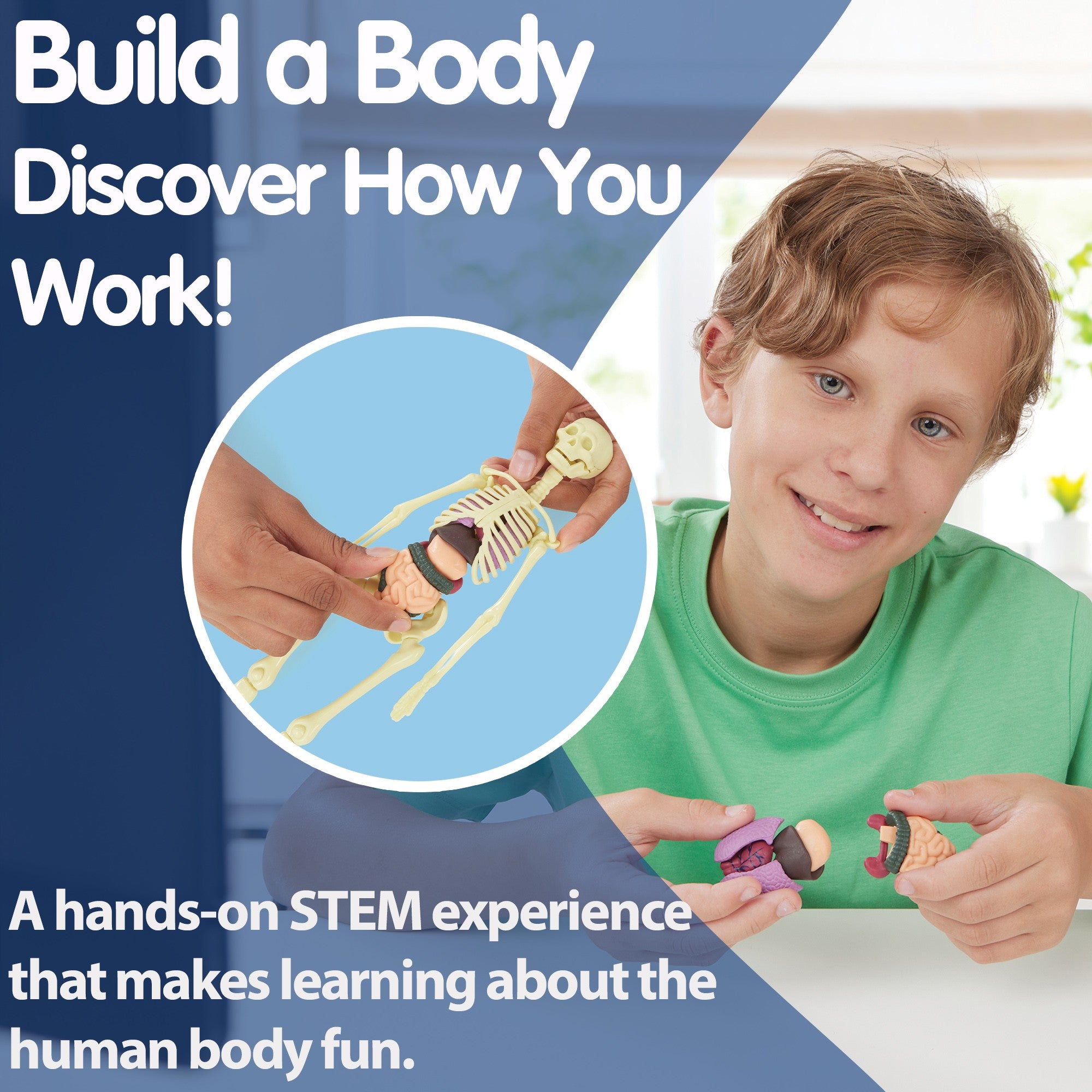 Build a Body