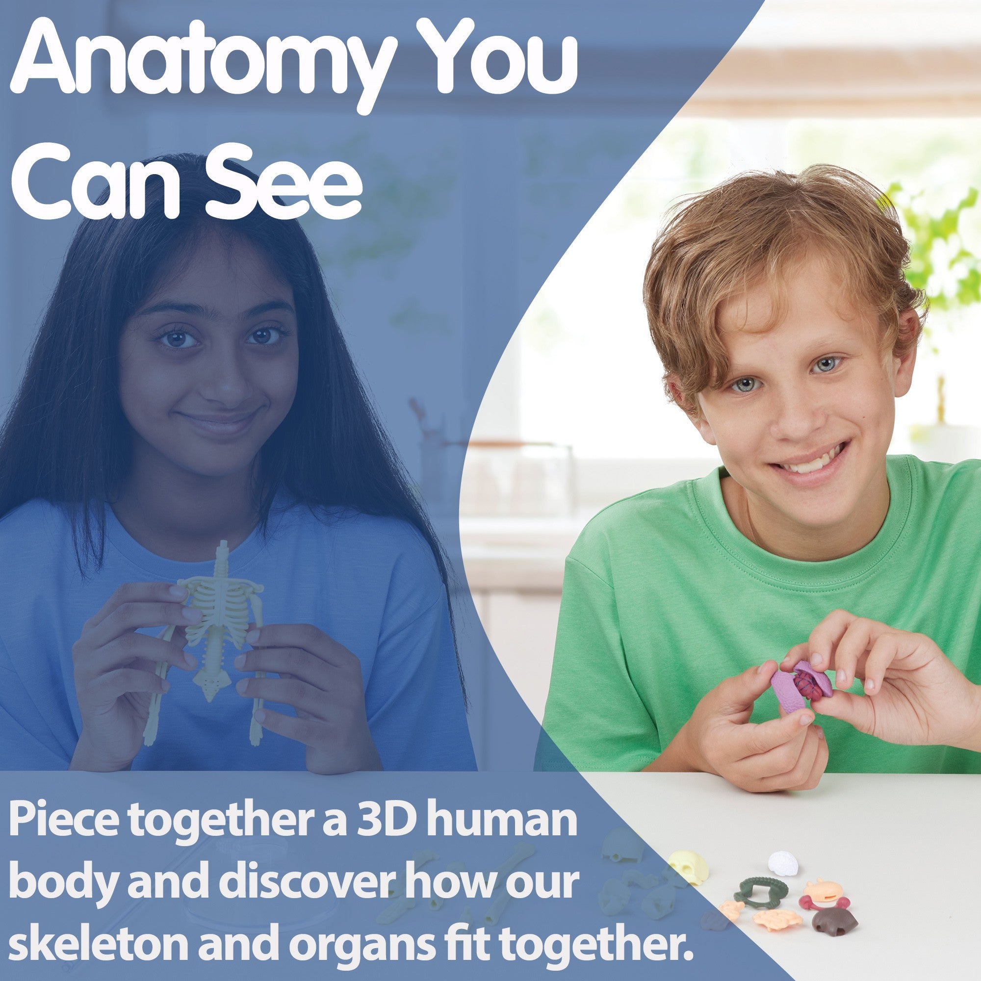 Build a Body