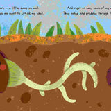 Tales from the Garden