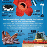 Our World in Numbers Planet Earth