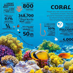 Our World in Numbers Planet Earth