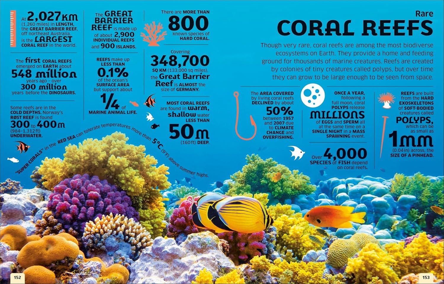 Our World in Numbers Planet Earth