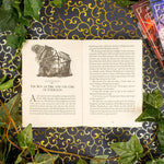 Chris Colfer - A Tale of Magic (Bk 1)