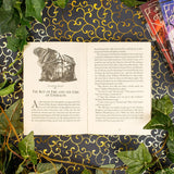 Chris Colfer - A Tale of Magic (Bk 1)