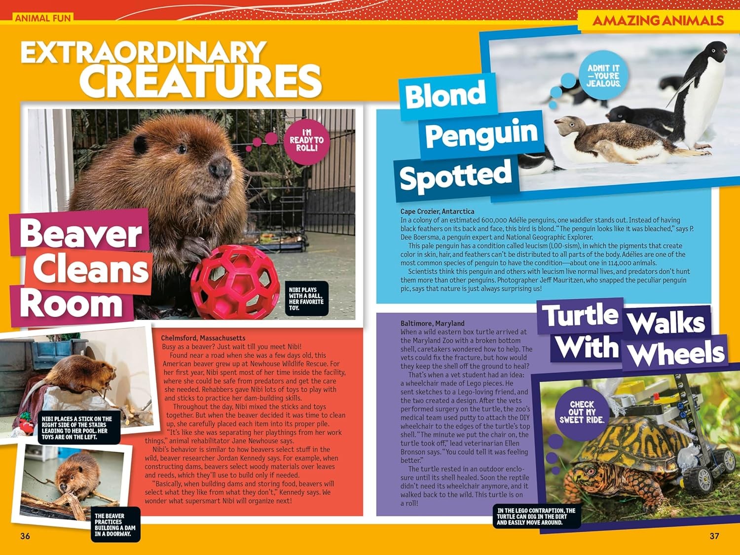 National Geographic Kids Almanac 2027