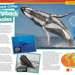 National Geographic Kids Almanac 2027