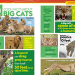 National Geographic Kids Almanac 2027