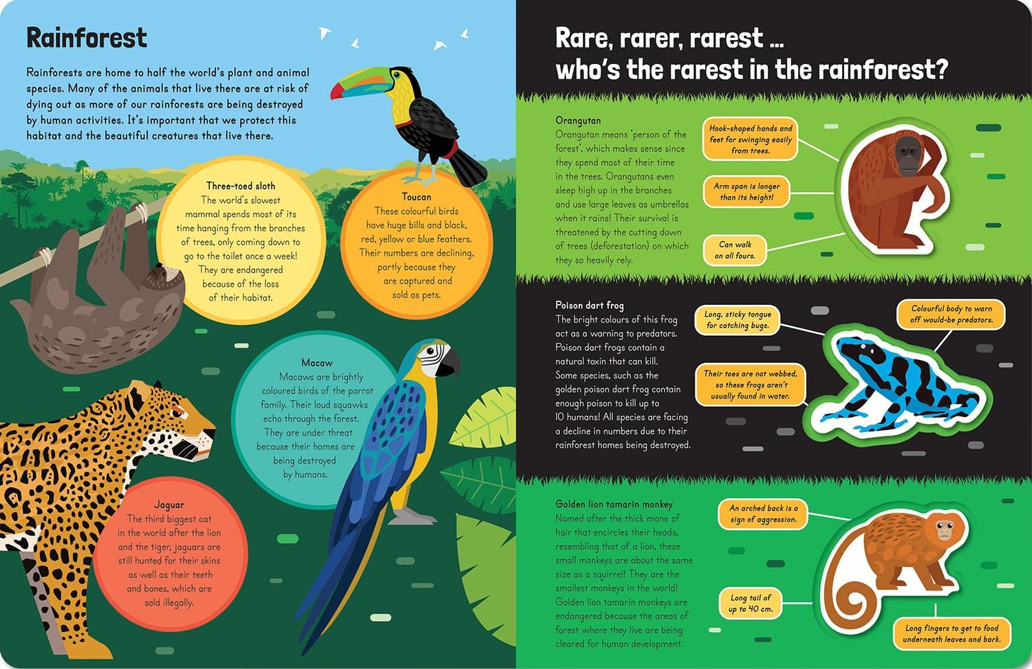 Awesome Nature - Awesome Endangered Animals