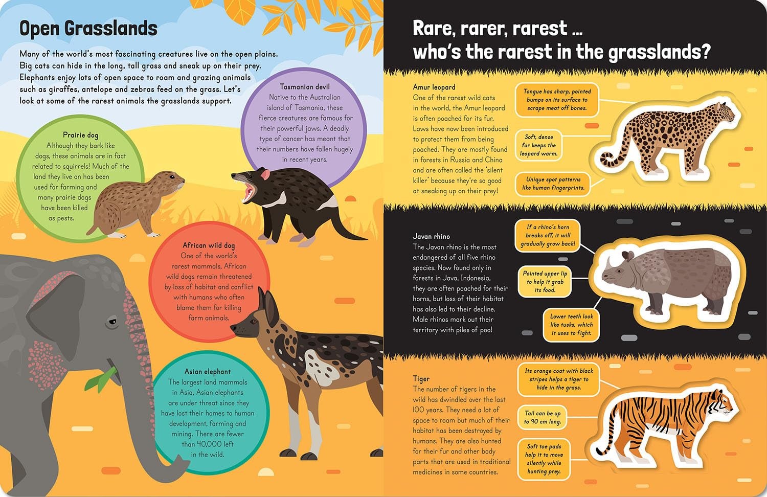 Awesome Nature - Awesome Endangered Animals