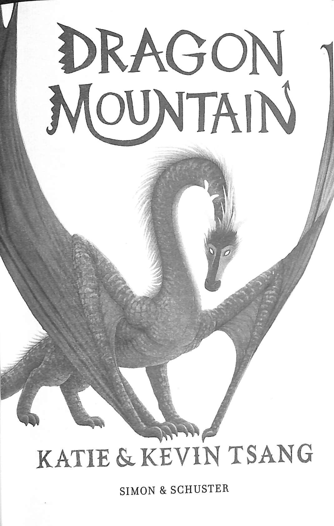 Dragon Realm #1 Dragon Mountain
