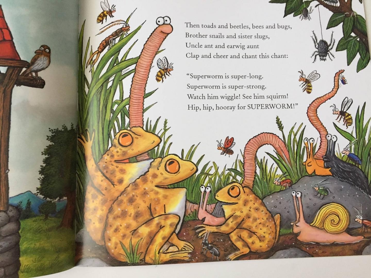 Picture Book: Superworm (New Edition)