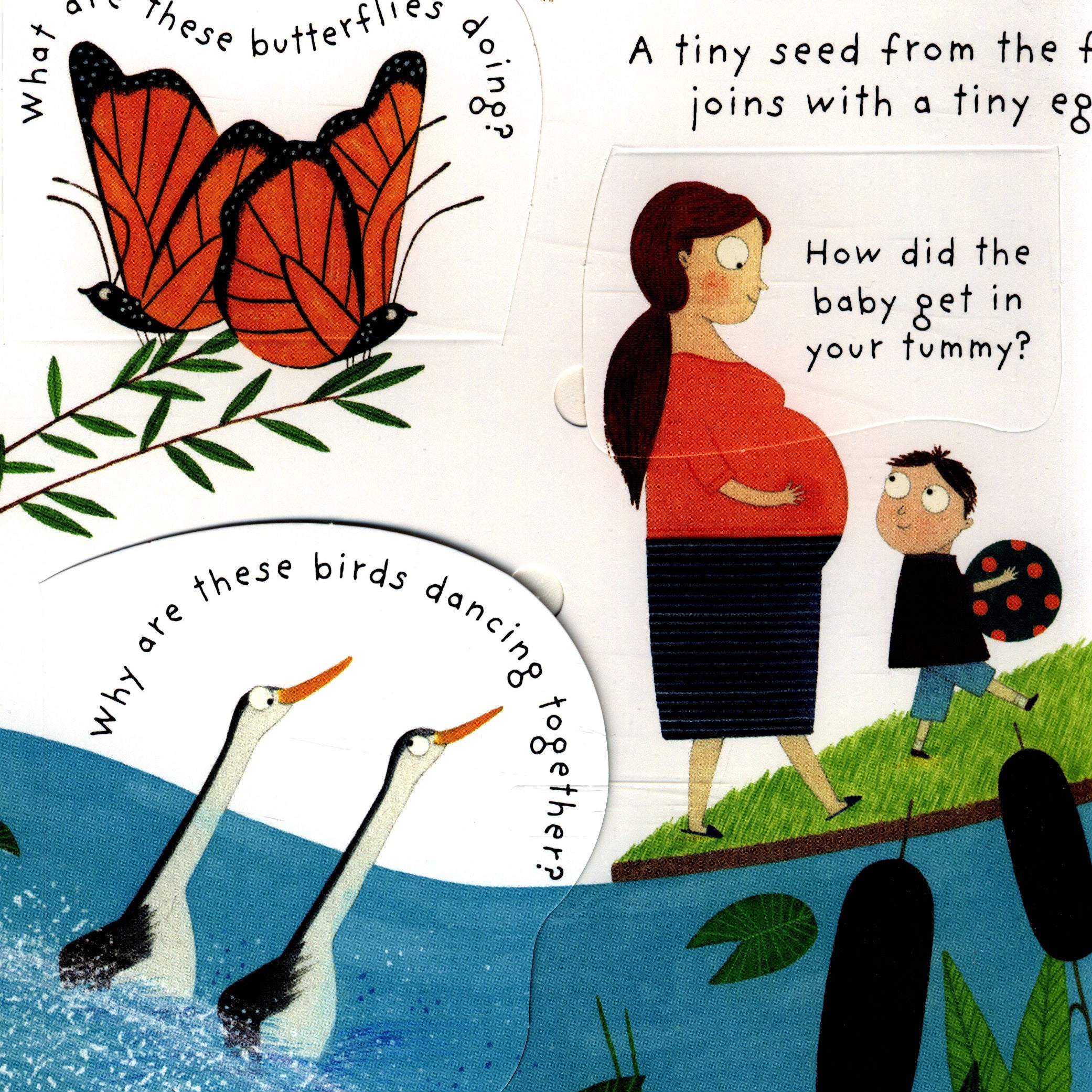 UB Lift-the-Flap First Q&A: Where Do Babies Come From?