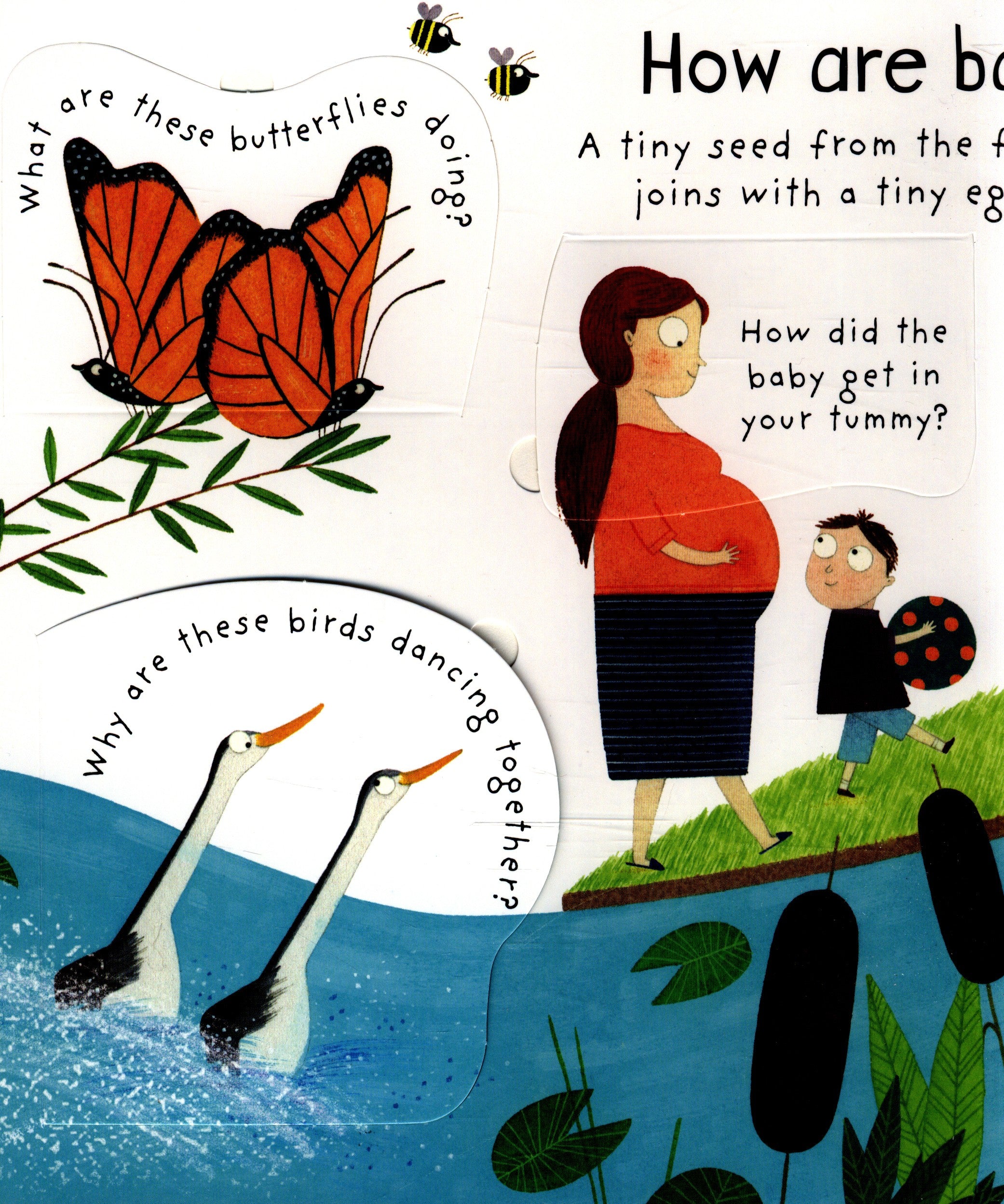 UB Lift-the-Flap First Q&A: Where Do Babies Come From?