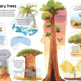Usborne Flap Bk: See Inside Trees (N/E)
