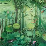 Usborne Flap Bk: See Inside Trees (N/E)