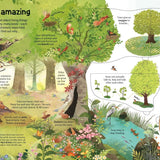 Usborne Flap Bk: See Inside Trees (N/E)