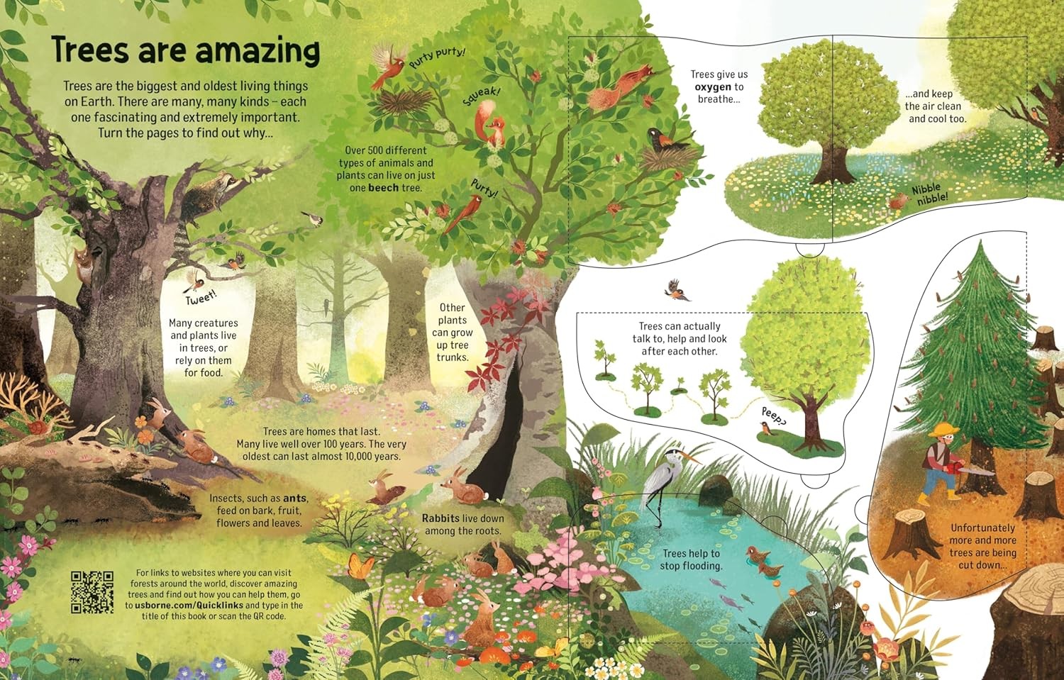Usborne Flap Bk: See Inside Trees (N/E)