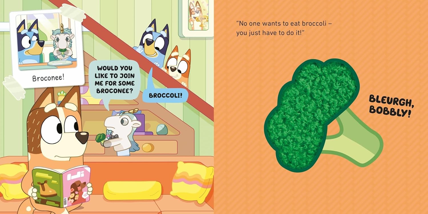 Bluey: The Sleepover