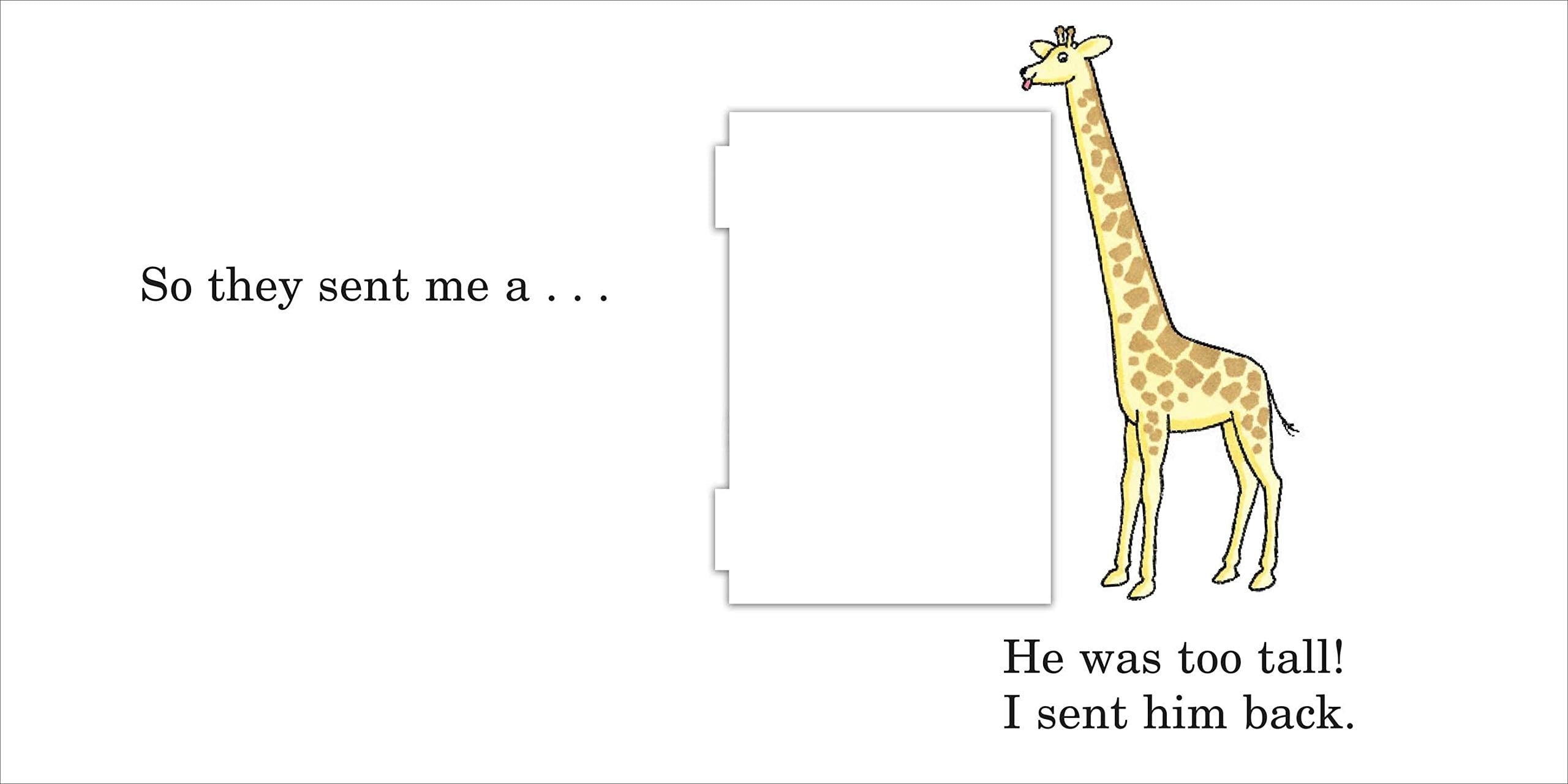 Dear Zoo - Lift the Flap Picture Book
