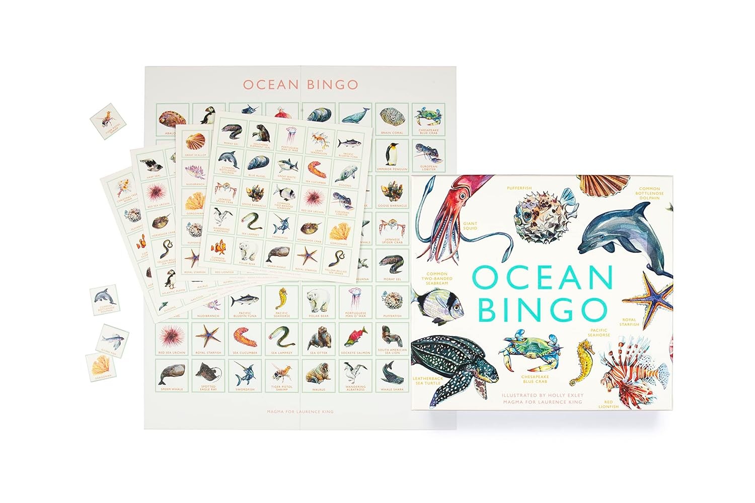 Bingo: Ocean