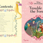 Deluxe Treasury - Disney Princess