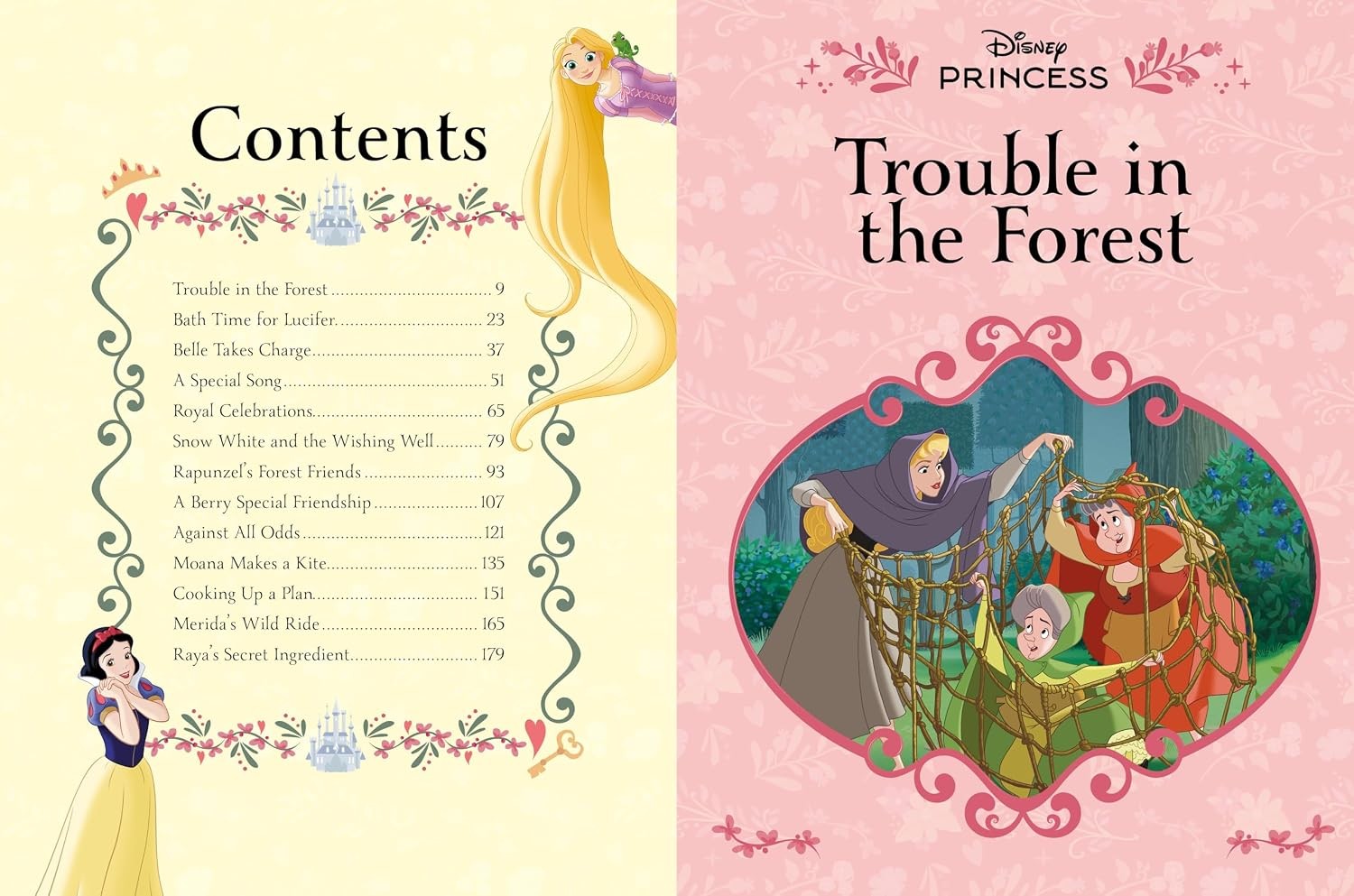 Deluxe Treasury - Disney Princess