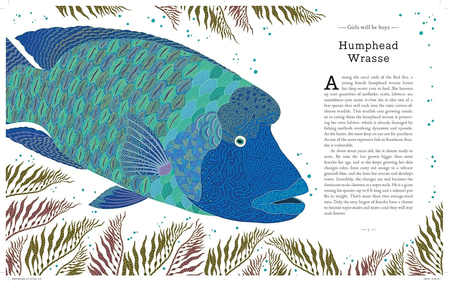Wild Child's Guide to Endangered Animals