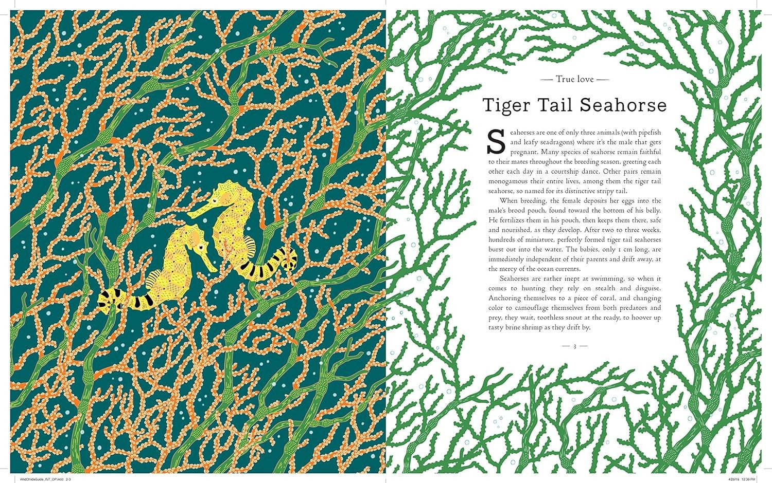 Wild Child's Guide to Endangered Animals