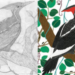 Wild Child's Guide to Endangered Animals