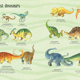 Usborne Big Book of Big Dinosaurs