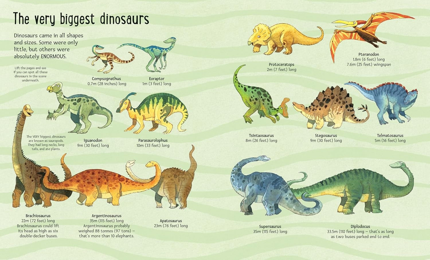 Usborne Big Book of Big Dinosaurs
