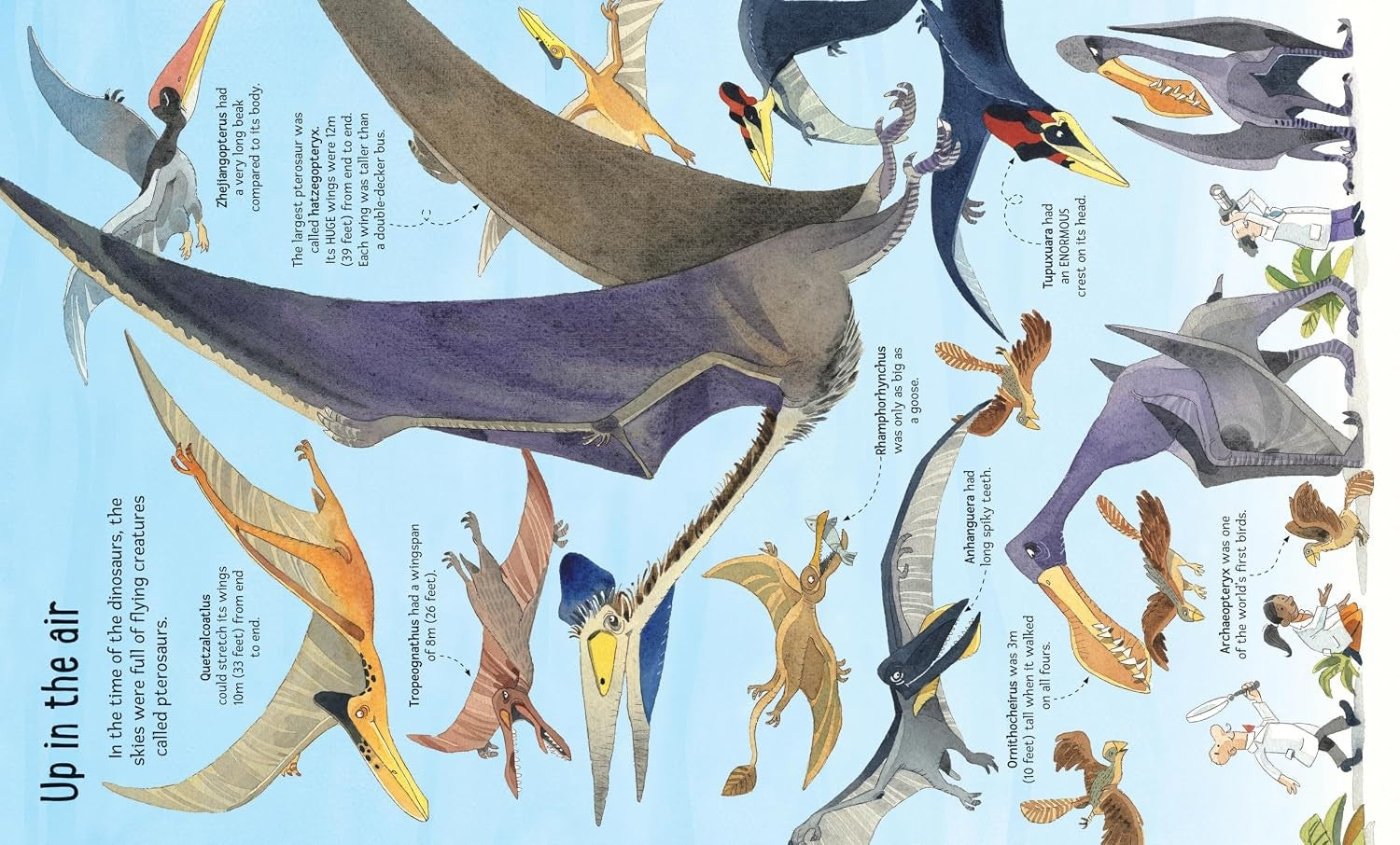 Usborne Big Book of Big Dinosaurs