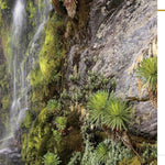 100 Hikes of a Lifetime