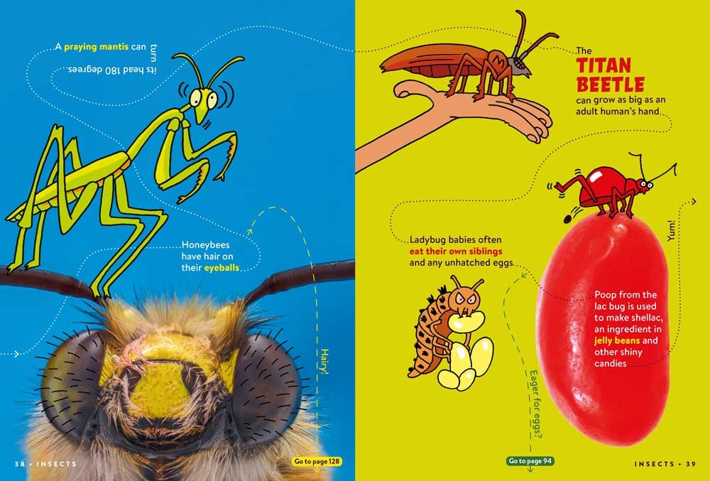 Gross FACTopia!: Follow the Trail of 400 Foul Facts